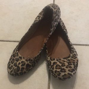 Lucky Brand Cheetah Flats Size 7